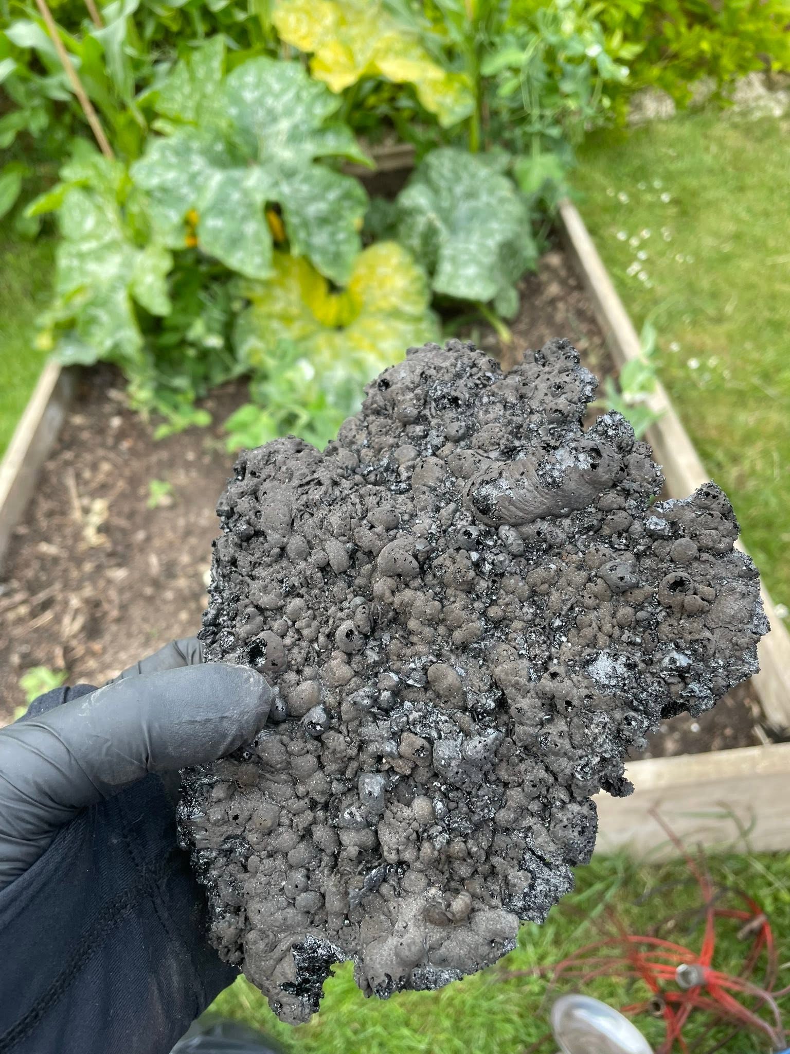 A gloved hand holding a large lump of tar and soot over a garden bed