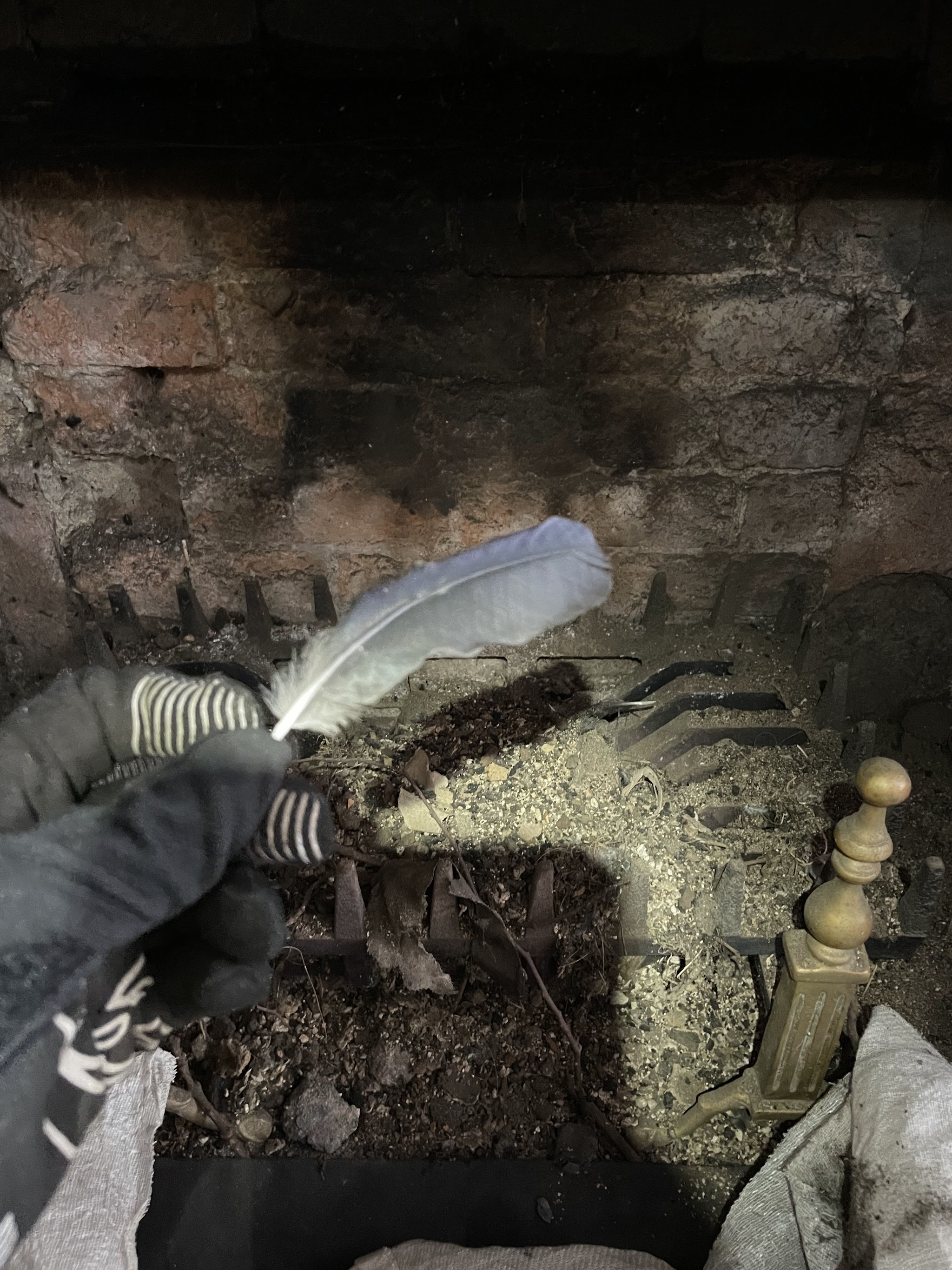 A gloved hand holding a feather pulled out with nest material from a fire grate