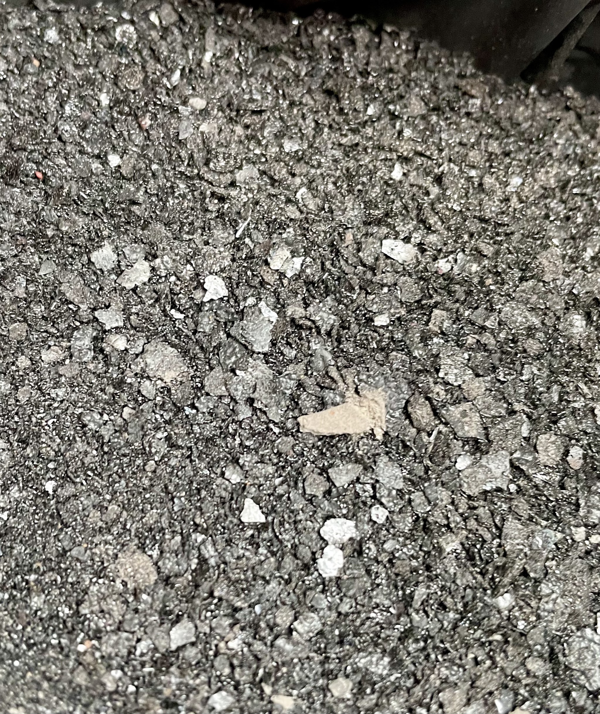 Close-up of soot and grit brought down from a flue